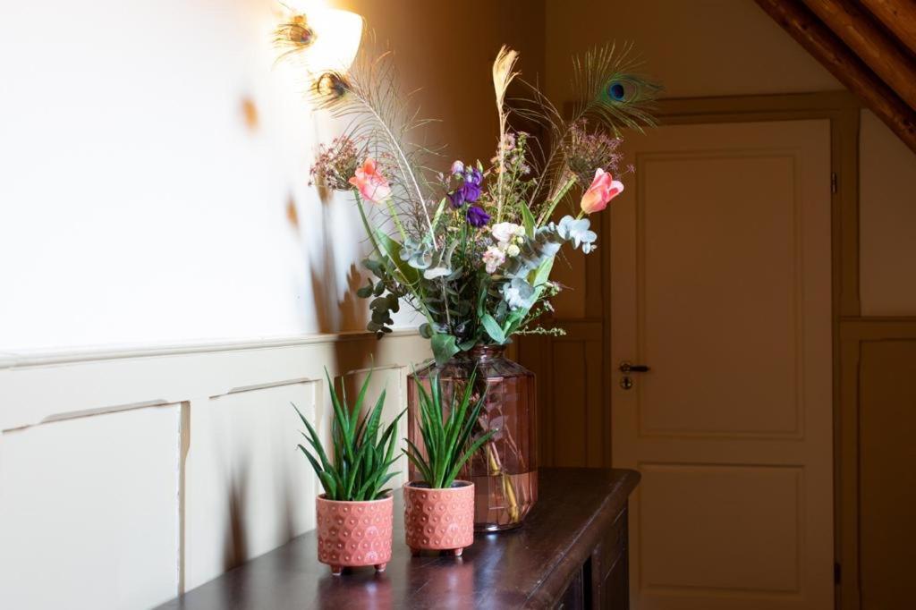 Hotel De Watermoelle Haaksbergen Extérieur photo